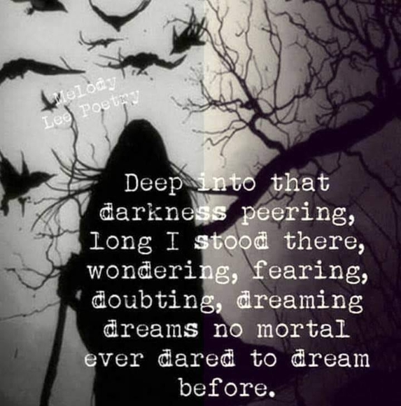 Meet your Posher, Cheri - Picture 1 of 1